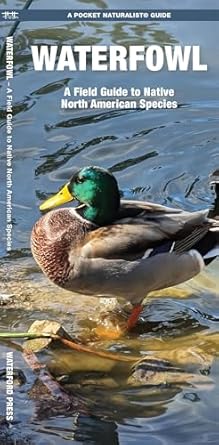 waterfowl a field guide to native north american species 1st edition james kavanagh waterford press