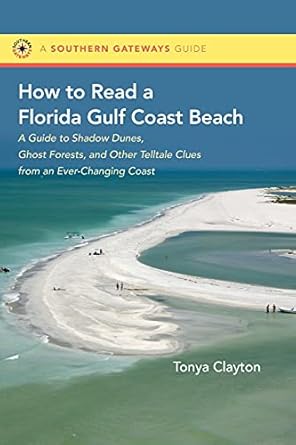 how to read a florida gulf coast beach a guide to shadow dunes ghost forests and other telltale clues from an