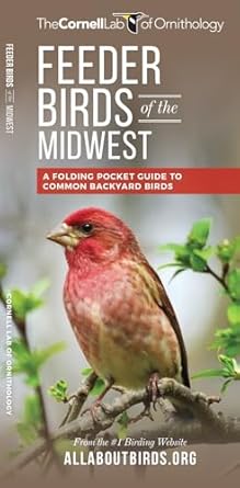feeder birds of the midwest a folding pocket guide to common backyard birds 1st edition the cornell lab of
