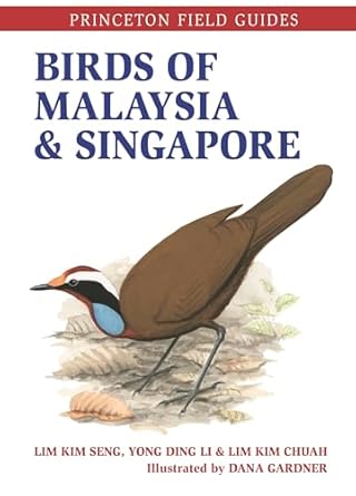 birds of malaysia and singapore 1st edition lim kim seng ,yong ding li ,lim kim chuah ,dana gardner