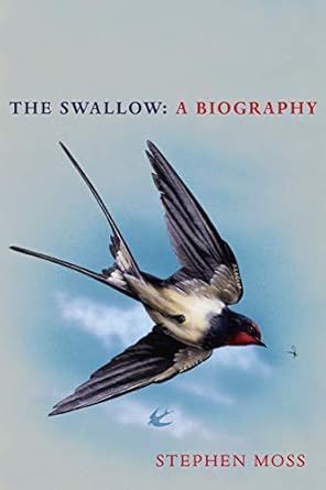 the swallow a biography 1st edition stephen moss 1529110262, 978-1529110265