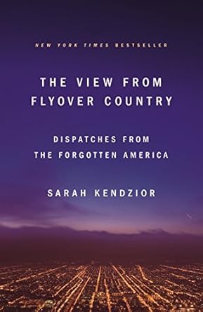 the view from flyover country 1st edition sarah kendzior 1250189993, 978-1250189998