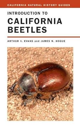 introduction to california beetles 1st edition arthur v evans ,james n hogue 0520240340, 978-0520240346