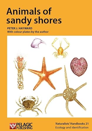 animals of sandy shores 1st edition peter j hayward 1784270415, 978-1784270414
