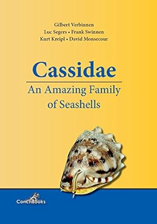 cassidae an amazing family of seashells 1st edition g verbinnen 3939767727, 978-3939767725