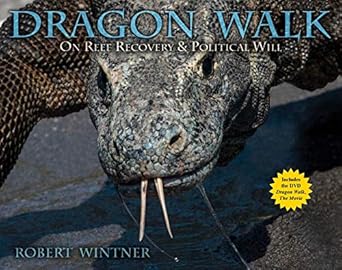 Dragon Walk On Reef Recovery And Political Will