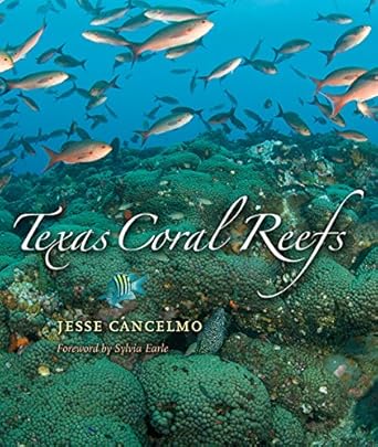 texas coral reefs 1st edition jesse cancelmo ,sylvia earle 1585446335, 978-1585446339