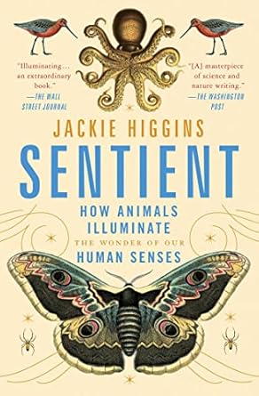 sentient how animals illuminate the wonder of our human senses 1st edition jackie higgins 1982156562,