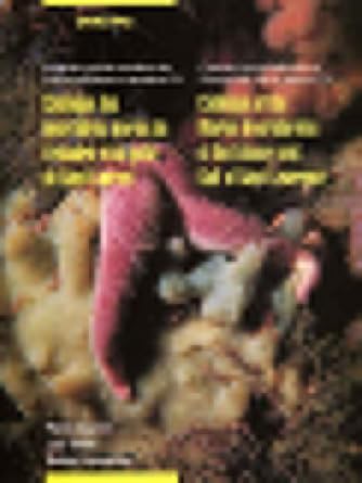 catalogue of the marine invertebrates of the estuary and gulf of saint lawrence 1st edition pierre brunel