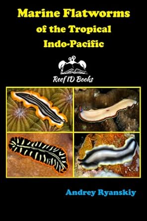 marine flatworms of the tropical indo pacific 1st edition andrey ryanskiy 5604204978, 978-5604204979