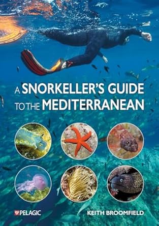 a snorkellers guide to the mediterranean a photographic id guide to the most commonly encountered marine
