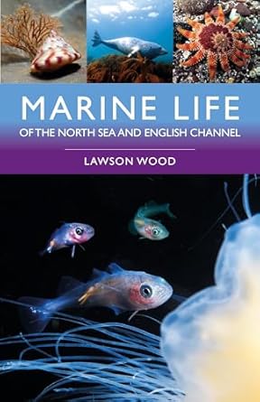 marine life of the north sea and english channel 1st edition lawson wood 1399415522, 978-1399415521