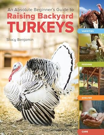 an absolute beginners guide to raising backyard turkeys varieties feeding shelter care 1st edition stacy