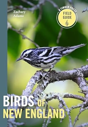 birds of new england a timber press field guide 1st edition zach adams 1643262017, 978-1643262017