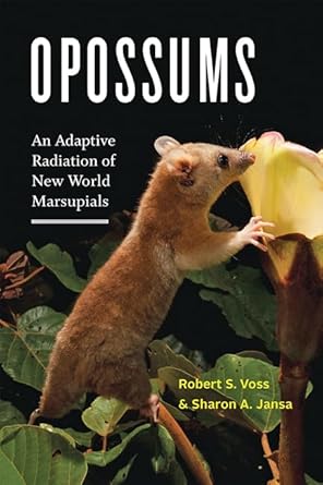 opossums an adaptive radiation of new world marsupials 1st edition robert s voss ,sharon a jansa 1421439786,