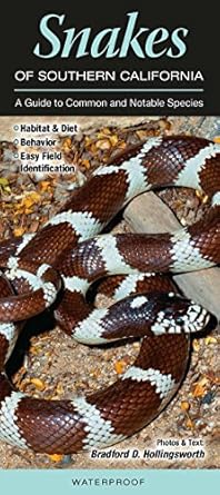 snakes of southern california a guide to common and notable species 1st edition bardford holligsworth