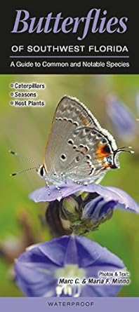 butterflies of southwest florida a guide to common and notable species 1st edition marc c minno ,maria f