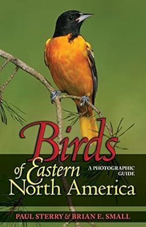 birds of eastern north america a photographic guide 1st edition paul sterry ,brian e small 069113426x,