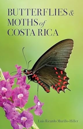 butterflies and moths of costa rica 1st edition luis ricardo murillo hiller 150178160x, 978-1501781605