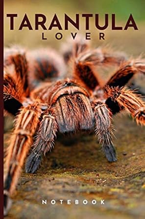 tarantula lover notebook cute fun tarantula spider themed notebook ideal gift for tarantula and spider lovers