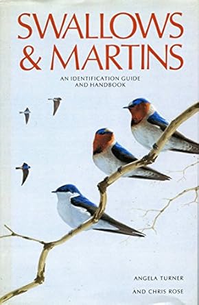 swallows and martins an identification guide and handbook 1st edition angela turner ,chris rose 0395511747,
