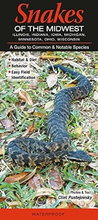 snakes of the midwest wi mi il in oh mn ia 1st edition clint pustejovsky 1943334269, 978-1943334261