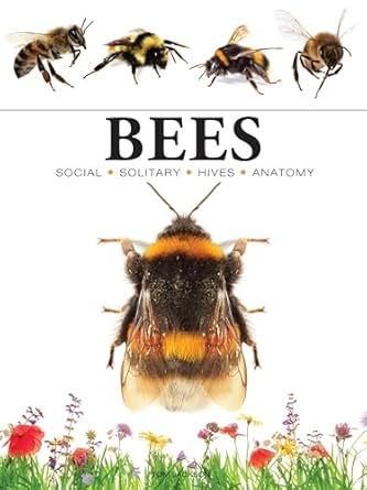 bees 1st edition tom jackson 1838863575, 978-1838863579