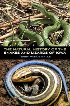 the natural history of the snakes and lizards of iowa 1st edition terry vandewalle 1609388372, 978-1609388379