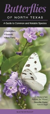 butterflies of north texas a guide to common and notable species 1st edition roland ro wauer ,valerie g bugh