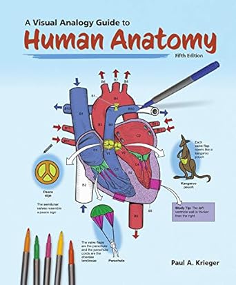 a visual analogy guide to human anatomy 1st edition paul a krieger 1640431942, 978-1640431942