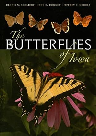 the butterflies of iowa 1st edition dennis w schlicht ,john c downey ,jeffrey c nekola 1587295334,