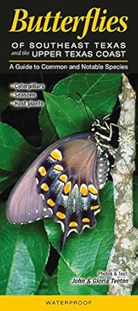 butterflies of southeast texas and the upper texas coast a guide to common and notable species 1st edition