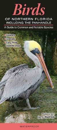 birds of northern florida including the panhandle a guide to common and notable species 1st edition larry