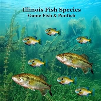 illinois game fish and panfish species kids book great book about the different types of fish in illinois 1st