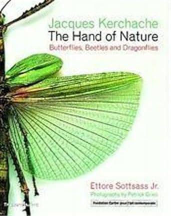 the hand of nature butterflies beetles and dragonflies 1st edition jacques kerchache ,jr ettore sottsass