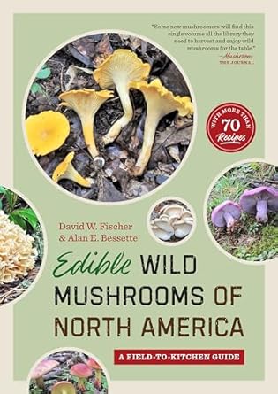 edible wild mushrooms of north america a field to kitchen guide 1st edition david w fischer ,alan e bessette