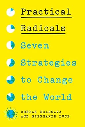 practical radicals seven strategies to change the world 1st edition deepak bhargava ,stephanie luce