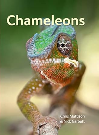 chameleons 1st edition chris mattison ,nick garbutt 1770851216, 978-1770851214