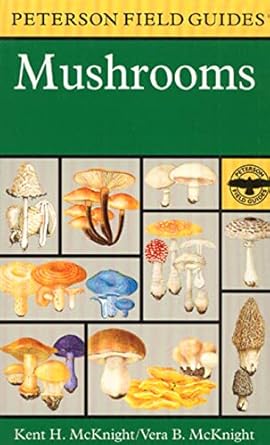 a field guide to mushrooms north america 1st edition kent h mcknight ,vera b mcknight 0395910900,