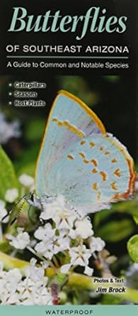 butterflies of southeast arizona a guide to common and notable species 1st edition jim brock 1936913984,