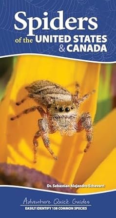 spiders of the united states and canada easily identify 158 common species 1st edition dr sebastian alejandro