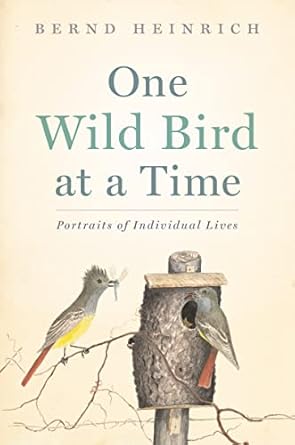one wild bird at a time portraits of individual lives 1st edition bernd heinrich 0544387635, 978-0544387638