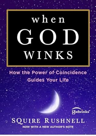 when god winks how the power of coincidence guides your life 1st edition squire rushnell 198210726x,