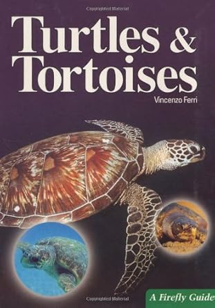 turtles and tortoises 1st edition vincenzo ferri ,anna bennett 1552096319, 978-1552096314