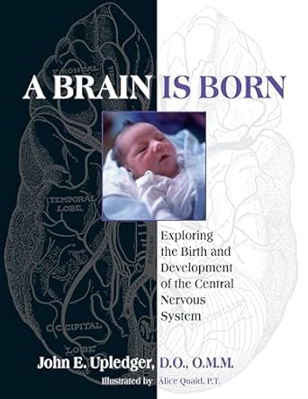 a brain is born exploring the birth and development of the central nervous system 1st edition john e upledger