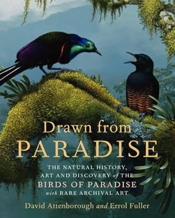 drawn from paradise the natural history art and discovery of the birds of paradise with rare archival art 1st