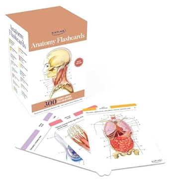 anatomy flashcards 300 flashcards with anatomically precise drawings and exhaustive descriptions 1st edition