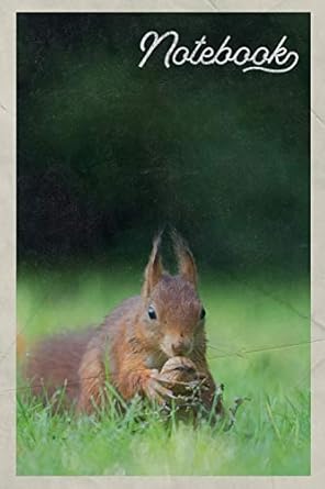 notebook ardilla scoiattolo rosso pretty composition book journal diary for men women teen and kids vintage