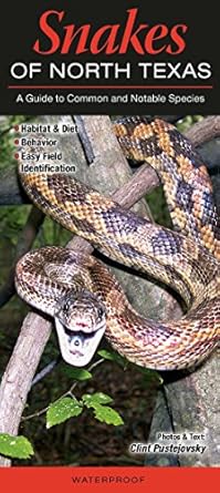snakes of north texas a guide to common and notable species 1st edition clint pustejovsky 0982621191,