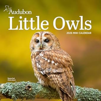 audubon little owls mini wall calendar 2026 1st edition workman calendars 1523531045, 978-1523531042